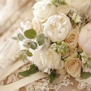 Meet your Posher, Rose